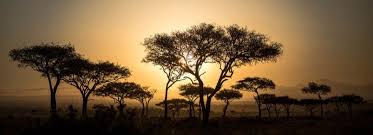 Казалось бы немыслимые на этом фоне снега килиманджаро. Enter Tanzania By Land From Kenya Tanzania Border Crossing