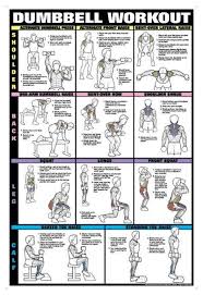 shoulder back leg calf bumbbell workout training