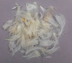 Great savings free delivery / collection on many items. Cushion Fillings Guide Foam Core Wraps Feather Fibre Foam