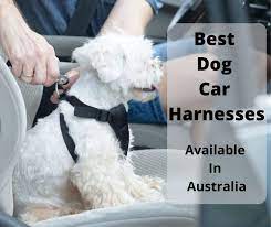 The car seatbelt restraints offered by ezydog are comfortable, secure and simple to use. 6 Best Dog Car Harness Options Australia 2021 Buyers Guide Gentledogtrainers Com Au