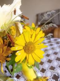 Image result for Verbesina encelioides