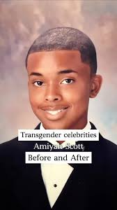 Harrison Booth Trans