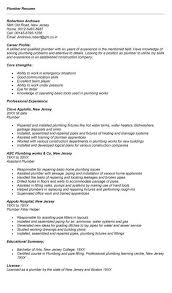 17 which resume format do employers prefer? Plumber Resume Diy Resume Resume Examples Sample Resume Resume Examples Resume Job Cover Letter