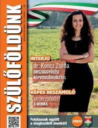 Ezért gondolta úgy a fidesz helyi szervezete, hogy nemcsak alkalmas, de méltó is arra, hogy. Forditott Magyar Zaszloval Kampanyol A Fidesz Parlamenti Kepviselojeloltje 24 Hu