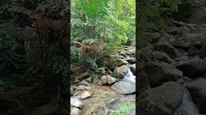 Klik tombol di bawah ini untuk pergi ke halaman website download film air terjun pengantin (2009).jika link rusak atau tidak dapat di download subtitle film air terjun pengantin (2009). Air Terjun Titi Kerawang Waterfall Penang Island Waterfall Fishing Villages