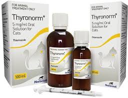 Cat thyroid problems the symptoms and treatments. Liquid Therapy Launched For Feline Hyperthyroidism Vet Times