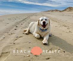 Corolla, nc, is a vacation rental home destination. Pet Friendly Hotels In Corolla Nc Tripswithpets