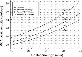 Perinatal Outcome After Intrauterine Transfusion In Rh