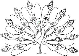 By coloring the free coloring pages, find your favorite feather ! Coloring Pages Of Peacocks Coloring Home