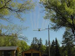 Gypsy moth is equally as serious of a pest of shade trees in urban communities (webb et al. Phenology Gypsy Moth In Wisconsin
