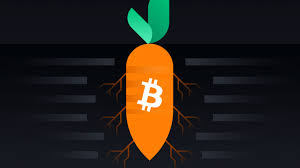 Bitcoin exchange malaysia, george town, malaysia. What Is Taproot And How It Will Benefit Bitcoin Binance Academy