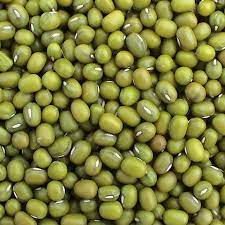 These bulk beans are sold at the best. Hot Sale High Quality Fresh Export Green Mung Bean Buy Green Mung Bean Product On Alibaba Com