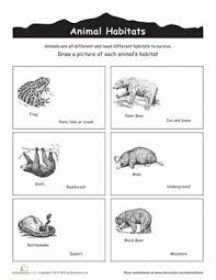 Animal Habitats Coloring Worksheet Education Com Animal Habitats Animal Habitats Preschool Writing Lesson Plans