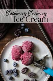Blackberry Blueberry Ice Cream Recipes For Summer Blueberry Ice Cream Recipe Ice Cream Blueberry Ice Cream