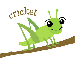 Sense 2 is derived from the cinematic metaphor of chirping crickets at night, signaling (otherwise) complete quiet. A Real Crickets Chirp At Night And Faster In Warmer Temperatures Description From Avrprojects Net I Searched F Getting Rid Of Crickets Cricket Insect Cricket