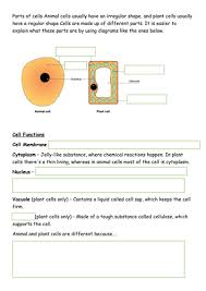 They have different shapes depending on what job they do within an animal's body. Animal And Plant Cells Resources Teaching Resources