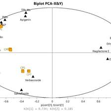 Image result for Coleus gracilipedicellatum