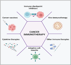 Image result for Immunotherapy