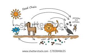 Latest food hamburger models coloring pages for kids printable. Food Chain Coloring Pages At Getdrawings Free Download