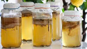 What Are The Side Effects Of Drinking Too Much Kombucha Everyday Health