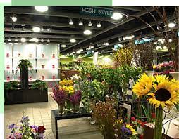 Biology as 1.4 flowering plants learn with flashcards, games and more — for free. The Flowerbar