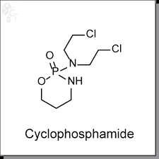 Image result for Cyclophosphamide