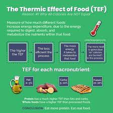 We did not find results for: The Thermic Effect Of Food 1 Reason All Calories Are Not Equal