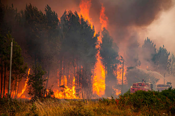 La Gironde confrontée à des feux de forêt violents et à une forte chaleur