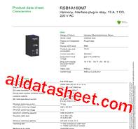 RSB1A160M7_V01 Datasheet(PDF) - Schneider Electric