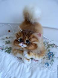pin na doske koshki cats