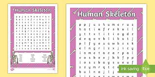 Skeletal system review crossword puzzle answers. Human Skeletal System Word Search With Answers