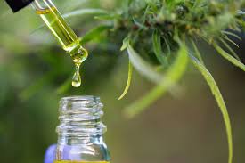 Viel mehr als nur cbd. Cbd Ol Wirkung Nebenwirkungen Anwendung