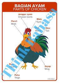 Learn the word for penjepit bulu mata and other related vocabulary in american english so that you can talk about berdandan with confidence. 100 Indonesian Vocabulary Ideas In 2021 Indonesian Language Vocabulary Indonesian