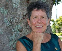 Glebe Society Bulletin 2016 Issue 01