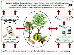 Chemicals can be carcinogens 5. Integrated Plant Protection Externwebben