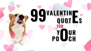 Maybe you would like to learn more about one of these? Dog Valentine S Day Captions Novocom Top