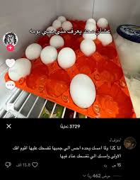 Image result for tbn:hYaJg6QTZtzPyM::upload.alrage.net/3ashe8-alahli/Multimedia/Pictures/Random Pictures/Alahli-Nwe-Logo.jpg