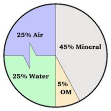 Soil formation is a process that requires concurrent action of activities for each factor climate, organisms, relief, parent material and time, or clorpt for short. Soil Management