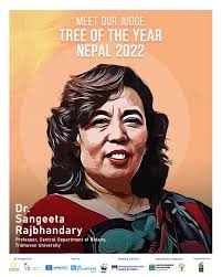 For a critical study of secondary growth in plants, which one of the  following pairs is suitable? A Wheat and maiden hair fern B Sugarcane and  sunflower C Teak and pine D