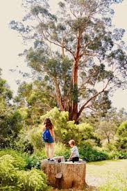 Visite Du Domaine Du Rayol Le Jardin Des Mediterranees Au Gre Des Chemins Vous Croiserez Egalement Differente Avec Images Week End En Famille Le Lavandou Sejour Famille