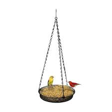 It's been designed to have a rustic, earthy look, which will blend in nicely with any yard and not take the attention away from the bright colors of your new panoramic perches have extra room for many birds to enjoy this feeder. 8 Best Bird Feeders Unique Bird Feeders
