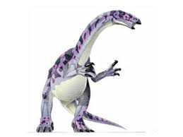 Maybe you would like to learn more about one of these? Alxasaurus Jurassic Park Wiki Fandom Prehistoric Animals Jurassic Park Prehistoric Creatures