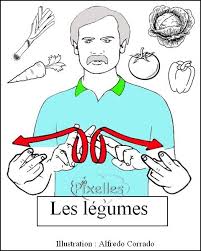 Les Legumes Langage Des Signes Bebe Apprendre La Langue Des Signes Langue Des Signes