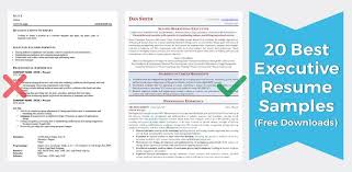 Those that use an elegant, professional resume layout and proper resume formatting. Executive Resume Samples Director Vp C Level
