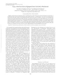 Image result for Cheilanthes schimperi