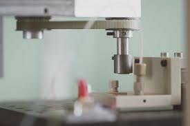 Ben 10 - Gwen's wild side