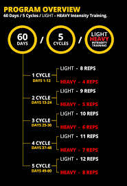 Workout is the spartacus workout muse which can be downloaded for free by clicking here. Rip 60 Workout Program Pdf