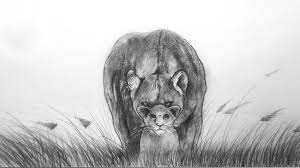 Browse 12,565 animal line drawings stock photos and images available, or start a new search to explore more stock photos and images. Drawing Tutorial For Beginners Pencil Sketch Drawing Creative Drawing Ideas Drawing Animals Cool Drawings Drawings Animals