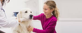 We provide high quality, comprehensive veterinary care for the pets and their people in the yukon. Allpets Veterinary Hospital Drogheda Vet Drogheda