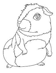 Smart, cute, adorable and loving, guinea pigs make the best pets. Guinea Pig Coloring Pages Best Coloring Pages For Kids